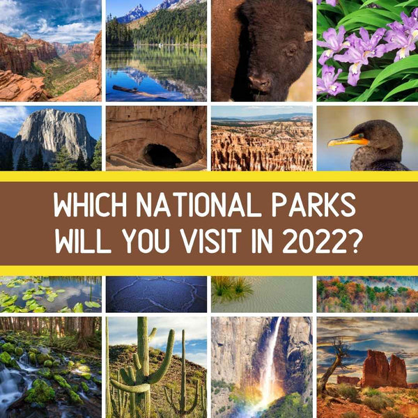 Which National Parks Are You Planning on Visiting in 2022?