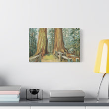 Load image into Gallery viewer, Sequoia National Park Painted Canvas Print