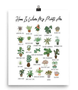 "Home Is Where My Plants Are" Poster 🌿 Featured poster from Everyday Joy Shop ✨